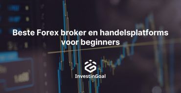 beginners forex brokers