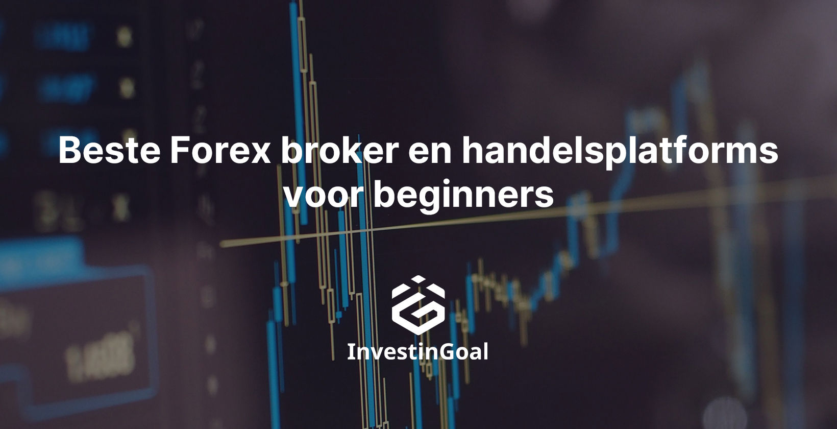 10 beste forex brokers en handelsplatforms voor beginners (2025)
